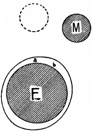 Fig. 231.